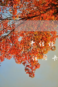 中信信用卡4000逾期多久起訴 中信銀行信用卡5000逾期一年起訴