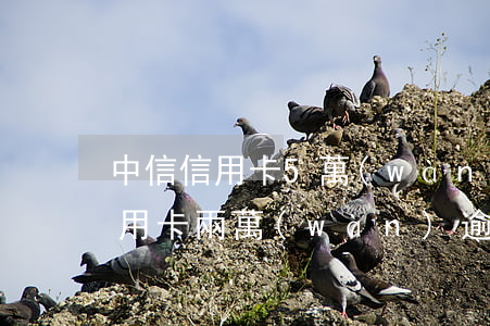 中信信用卡5萬(wàn)逾期一年(中信信用卡兩萬(wàn)逾期一年了)