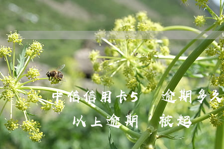 中信信用卡5萬逾期多久會被起訴(信用卡5萬以上逾期會被起訴嗎?)