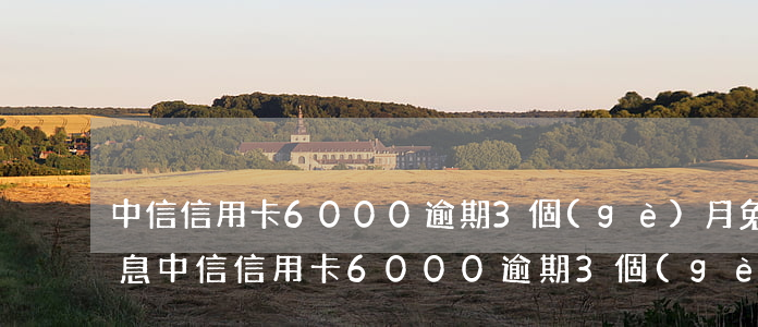 中信信用卡6000逾期3個(gè)月免息（中信信用卡6000逾期3個(gè)月）