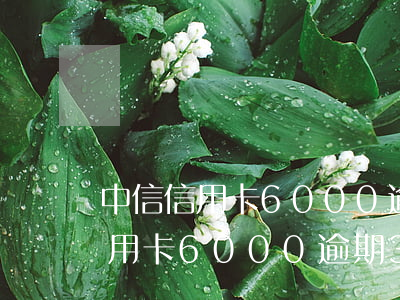 中信信用卡6000逾期3個月免息（中信信用卡6000逾期3個月）