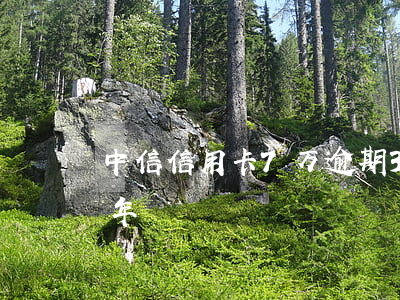 中信信用卡7万逾期3年(信用卡7千逾期一年)