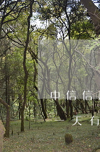 中信信用卡7天算逾期(中信銀行信用卡逾期一天有沒(méi)有影響?)