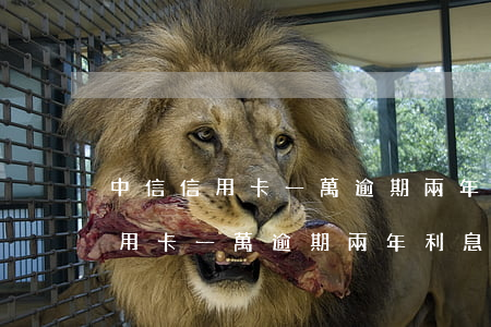 中信信用卡一萬逾期兩年利息多少-中信信用卡一萬逾期兩年利息多少錢