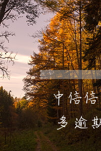 中信信用卡七千逾期(欠中信銀行信用卡2萬多逾期三個月了怎么辦)