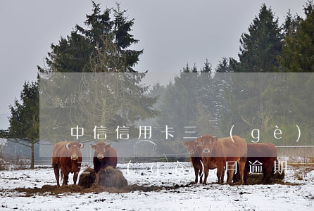 中信信用卡三個(gè)月逾期(中信信用卡三個(gè)月逾期一天)