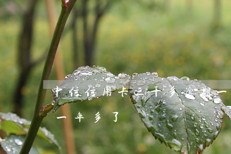 中信信用卡三千多逾期一年(信用卡3千逾期一年多了)
