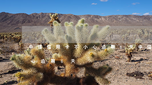 中信信用卡不小心逾期6天(中信信用卡不小心逾期6天)