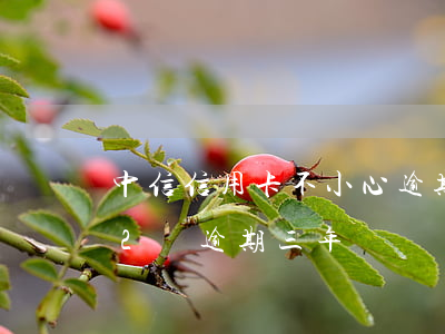 中信信用卡不小心逾期兩天(中信銀行信用卡2萬逾期三年)