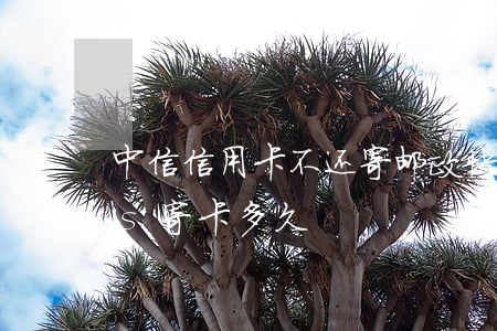 中信信用卡不还寄邮政快递(中信信用卡ems寄卡多久)
