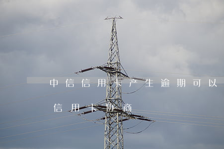 中信信用卡产生逾期可以协商吗(逾期很久的信用卡协商)