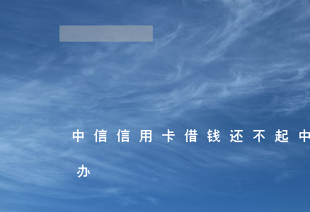 中信信用卡借钱还不起(中信用卡还不上怎么办)