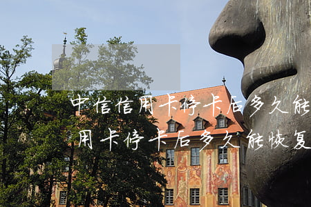 中信信用卡停卡后多久能恢复正常-中信信用卡停卡后多久能恢复正常使用