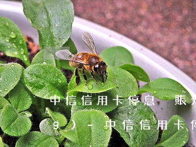 中信信用卡停息掛賬分期怎么申請(qǐng)-中信信用卡停息掛賬分期怎么申請(qǐng)的