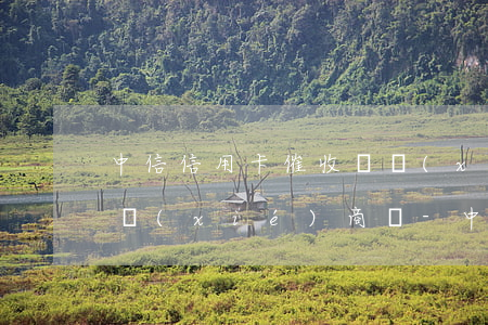 中信信用卡催收說協(xié)商還款應該協(xié)商嗎?-中信信用卡催收說協(xié)商還款應該協(xié)商嗎是真的嗎