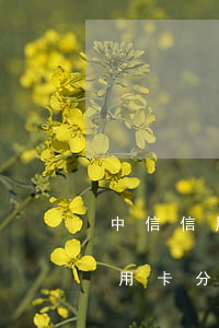 中信信用卡分期晚還兩天算逾期嗎-中信信用卡分期晚還兩天算逾期嗎怎么辦