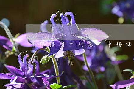 中信信用卡利息-中信信用卡利息可以申請減免嗎
