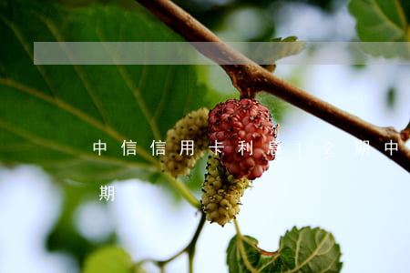 中信信用卡利息12期(中信信用卡利息12期)