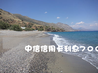 中信信用卡利息700(中信信用卡利息高嗎)