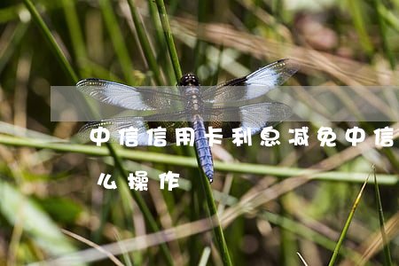 中信信用卡利息减免(中信信用卡利息减免怎么操作)