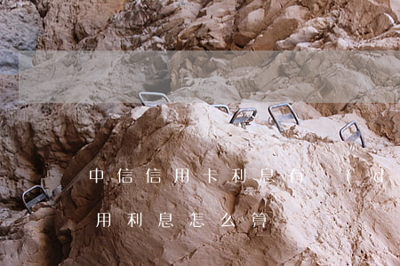 中信信用卡利息有點(diǎn)高(中信信用利息怎么算)