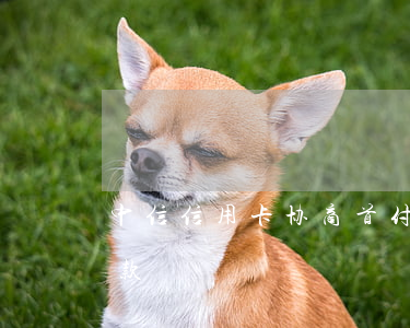 中信信用卡协商首付款(中信信用卡协商首付款)