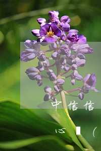 中信信用卡協(xié)商材料(上中信卡中心協(xié)商需要注意什么)