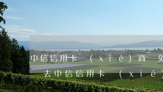 中信信用卡協(xié)商減免不按日期還進去（中信信用卡協(xié)商減免）