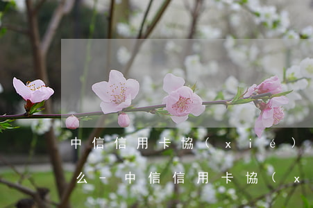 中信信用卡協(xié)商還款的條件是什么-中信信用卡協(xié)商還款的條件是什么意思