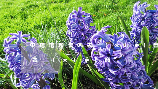 中信信用卡叫去協(xié)商 中信總是叫去協(xié)商
