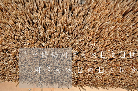 中信信用卡可以協商個性化分期嗎-中信信用卡可以協商個性化分期嗎
