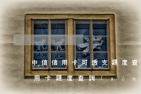 中信信用卡可透支額度查詢(xún)(中信用卡額度查詢(xún)系統(tǒng))