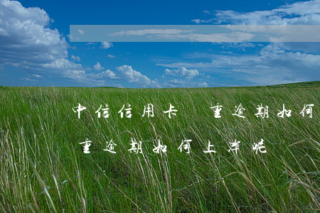 中信信用卡嚴重逾期如何上岸(中信信用卡嚴重逾期如何上岸呢)