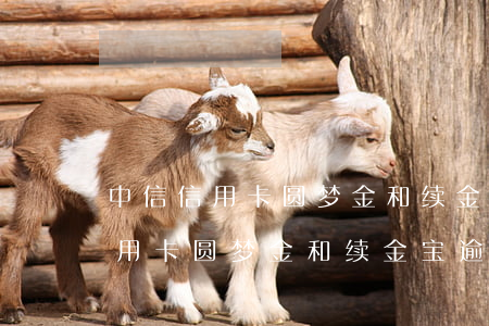 中信信用卡圆梦金和续金宝逾期了-中信信用卡圆梦金和续金宝逾期了怎么办