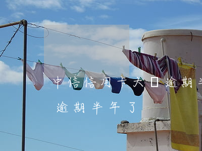 中信信用卡大額逾期半年了(中信信用卡大額逾期半年了)