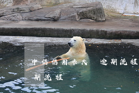 中信信用卡大額逾期流程(中信信用卡大額逾期流程)