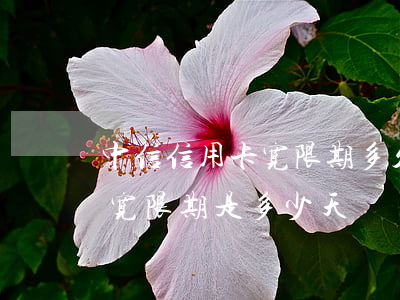 中信信用卡宽限期多久不算逾期(中信信用卡宽限期是多少天)