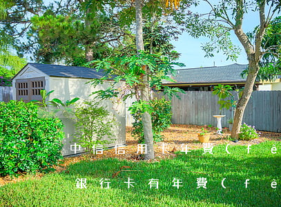 中信信用卡年費(fèi)不還怎么樣(中信銀行卡有年費(fèi)嗎)