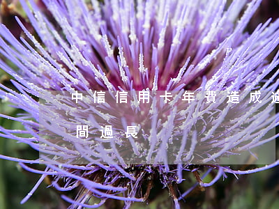 中信信用卡年費造成逾期(中信信用卡逾期時間過長)