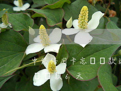 中信信用卡忘記還款逾期10天(中信銀行忘記還款6天)