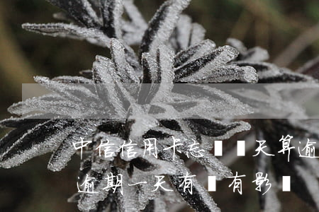 中信信用卡忘還幾天算逾期(中信銀行信用卡逾期一天有沒有影響?)