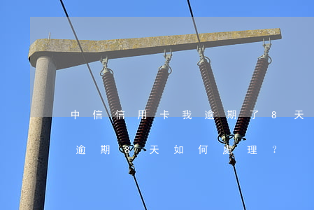 中信信用卡我逾期了8天怎么辦，中信信用卡逾期8天，如何處理？