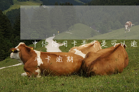 中信信用卡是不是可以逾期幾天(中信銀行 信用卡 逾期)