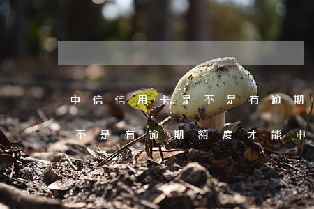 中信信用卡是不是有逾期額度(中信信用卡是不是有逾期額度才能申請)