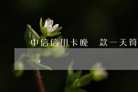 中信信用卡晚還款一天算逾期嗎
