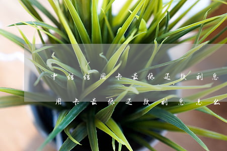 中信信用卡最低还款利息怎么算的-中信信用卡最低还款利息怎么算的3500