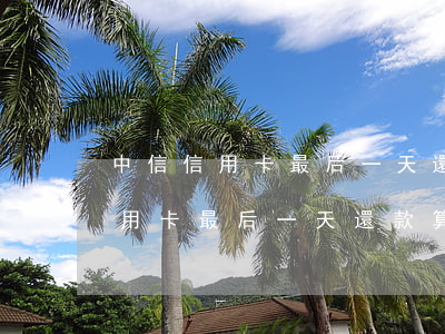 中信信用卡最后一天還款算逾期嗎-中信信用卡最后一天還款算逾期嗎怎么辦