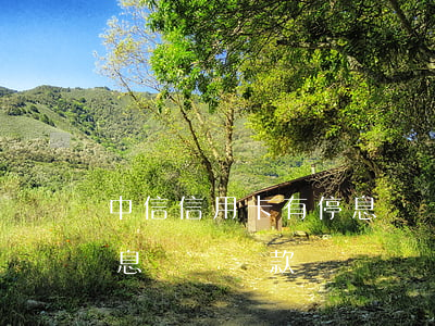 中信信用卡有停息掛賬嗎(中信信用卡可以停息掛賬還款嗎?)