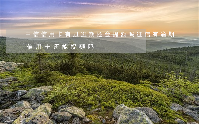 中信信用卡有过逾期还会提额吗(征信有逾期信用卡还能提额吗)
