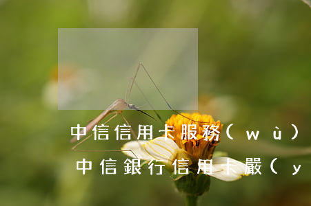 中信信用卡服務(wù)費(fèi)逾期(中信銀行信用卡嚴(yán)重逾期被起訴了嚴(yán)重嗎)